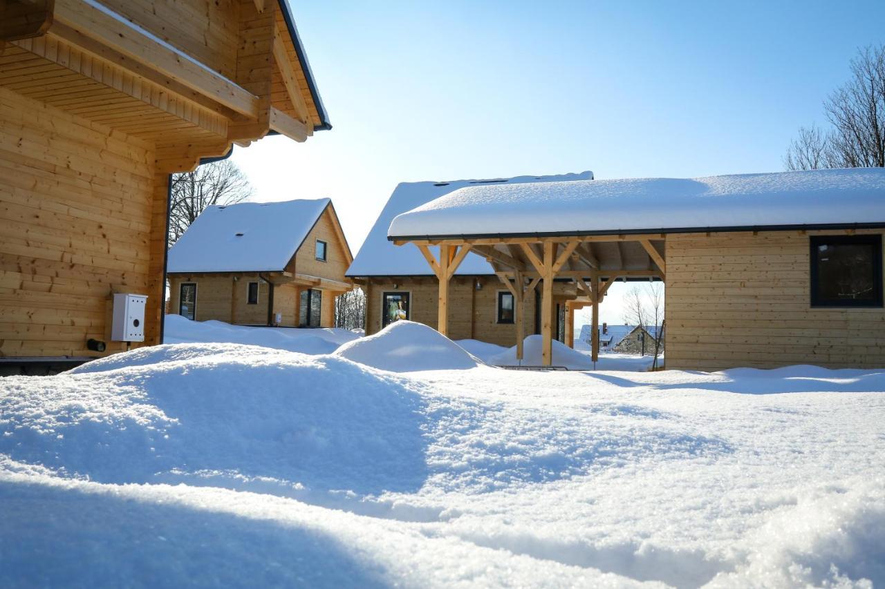 Domki Zdrojowe Lądek-Zdrój Extérieur photo